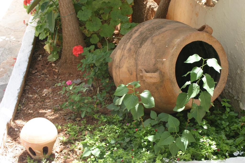 Ξενοδοχείο Ελίζα Άγιος Νικόλαος Εξωτερικό φωτογραφία